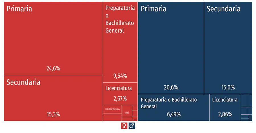 Gráfica del nivel de escolaridad por sexo en Tepeojuma